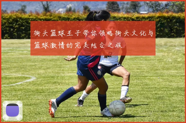 街头篮球王子带你领略街头文化与篮球激情的完美结合之旅