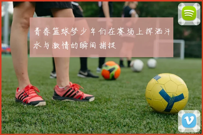 青春篮球梦少年们在赛场上挥洒汗水与激情的瞬间捕捉