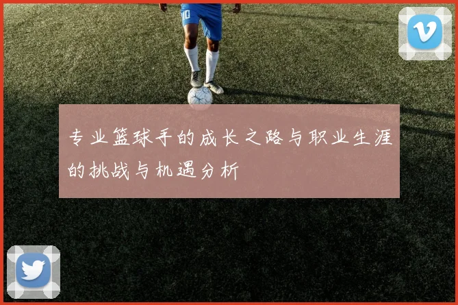 专业篮球手的成长之路与职业生涯的挑战与机遇分析