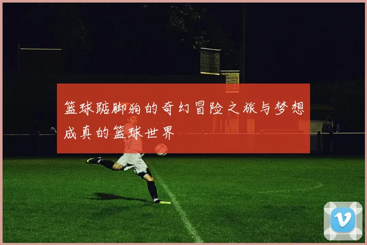篮球踮脚狗的奇幻冒险之旅与梦想成真的篮球世界
